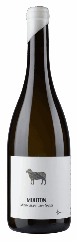 cuvée mouton : melon blanc, vin blanc typé Cru Muscadet élevage 20 mois barrique